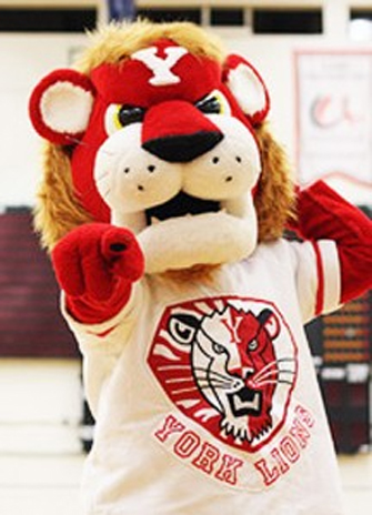 York Lions mascot