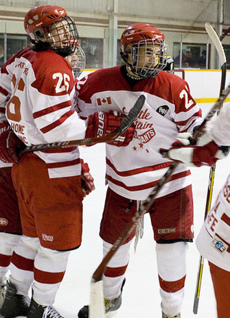 Minor hocky team in action. Photo by Jason Bain. Cropped from original photo.