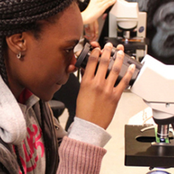 a young woman looks into a microscope
