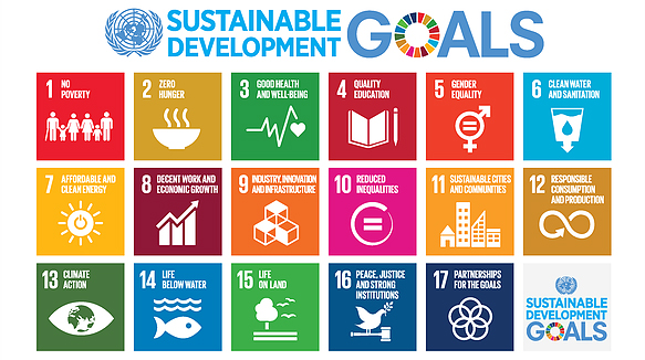 Chart shows 17 UNSDG goals