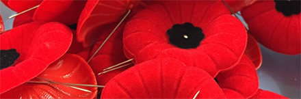 Poppies for Remembrance Day