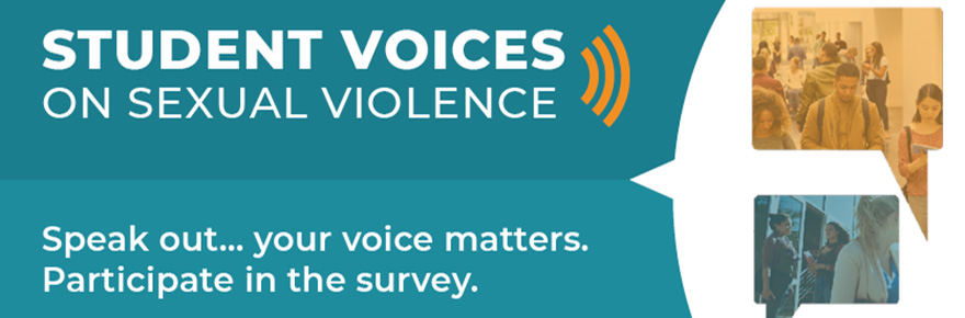 Student Voices Sexual Violence survey