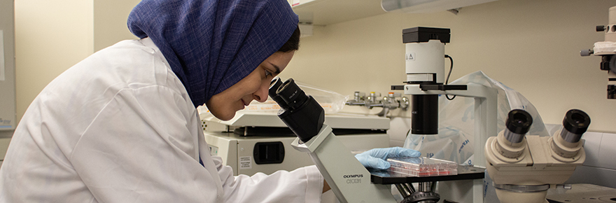 DURA recipient Ellahe Fatehi conducting summer research in 2019