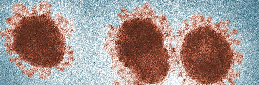 CDC image of the Coronavirus FEATURED image
