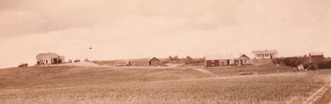 Landscape with the prairie skies, Gordon Shepherd was born in the white house on the right of the photo