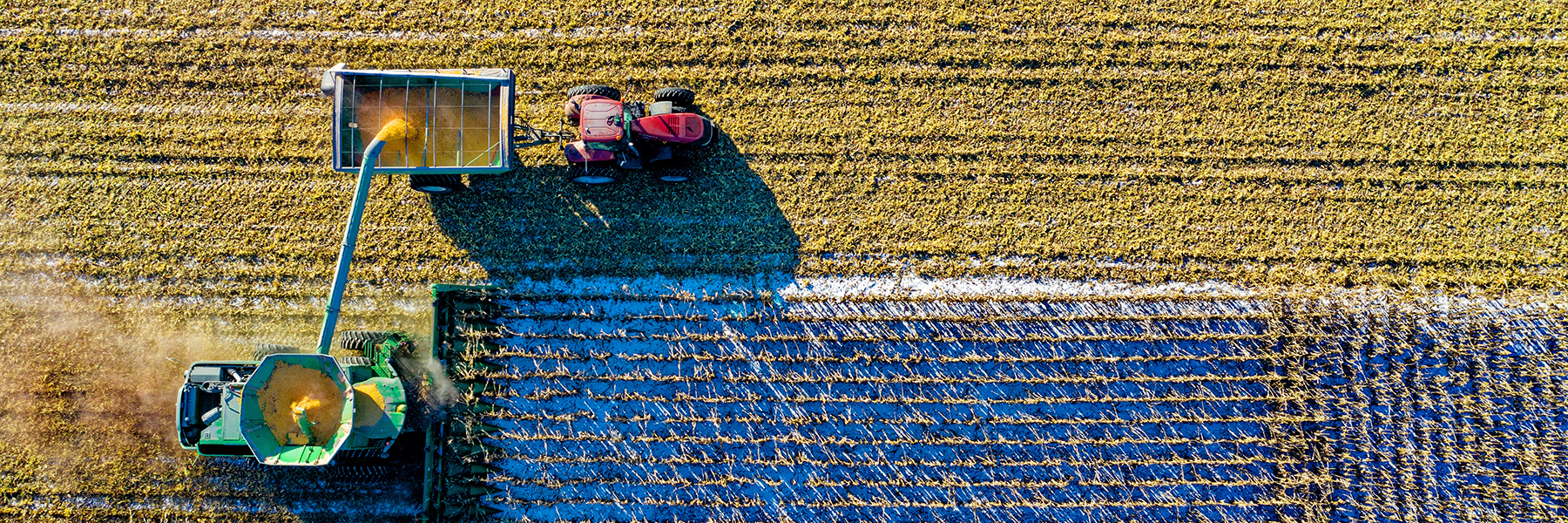 Top view of a farm field