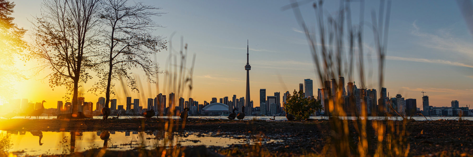 Scenic view of Toronto sunrise
