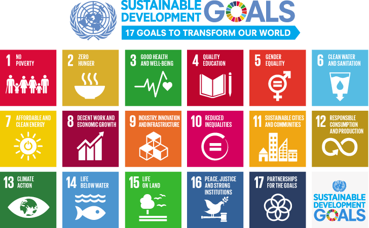 Graphic shows the 17 UN SDGs