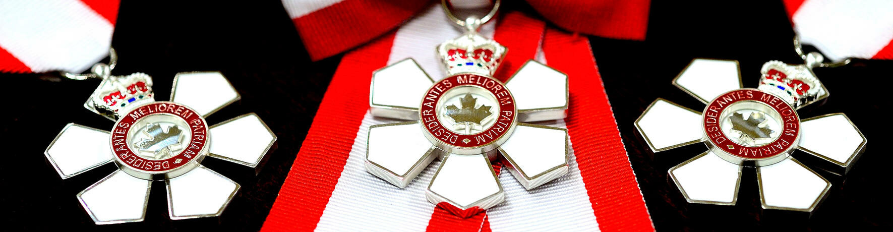 Order of canada medal laid out on black background