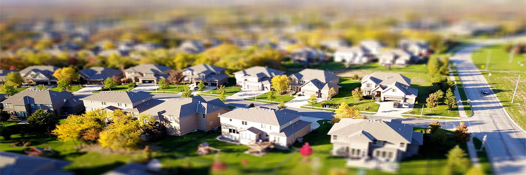 rows of suburban houses