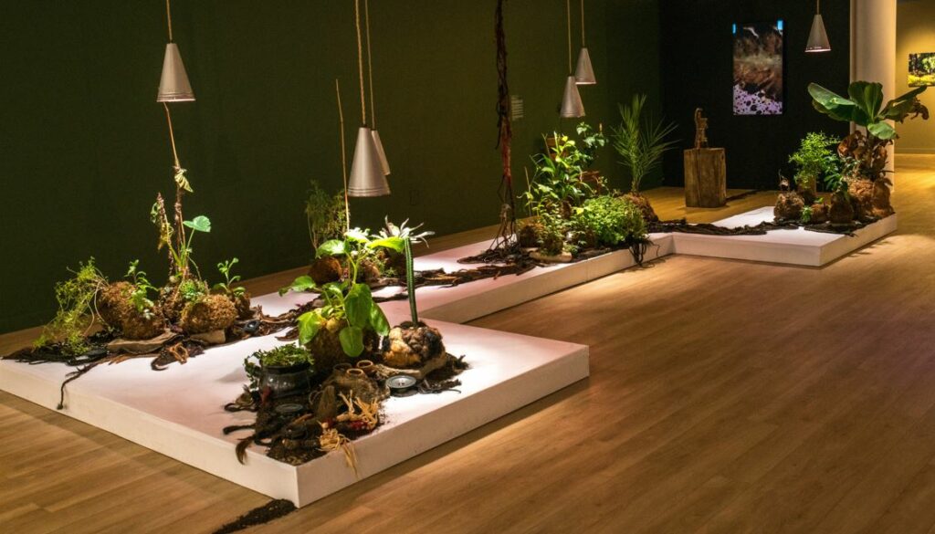 The image shows a series of plant arranged in displays highlighted by single lamps