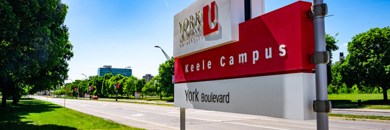 York’s 2022 Schulich Leaders share passion for entrepreneurship