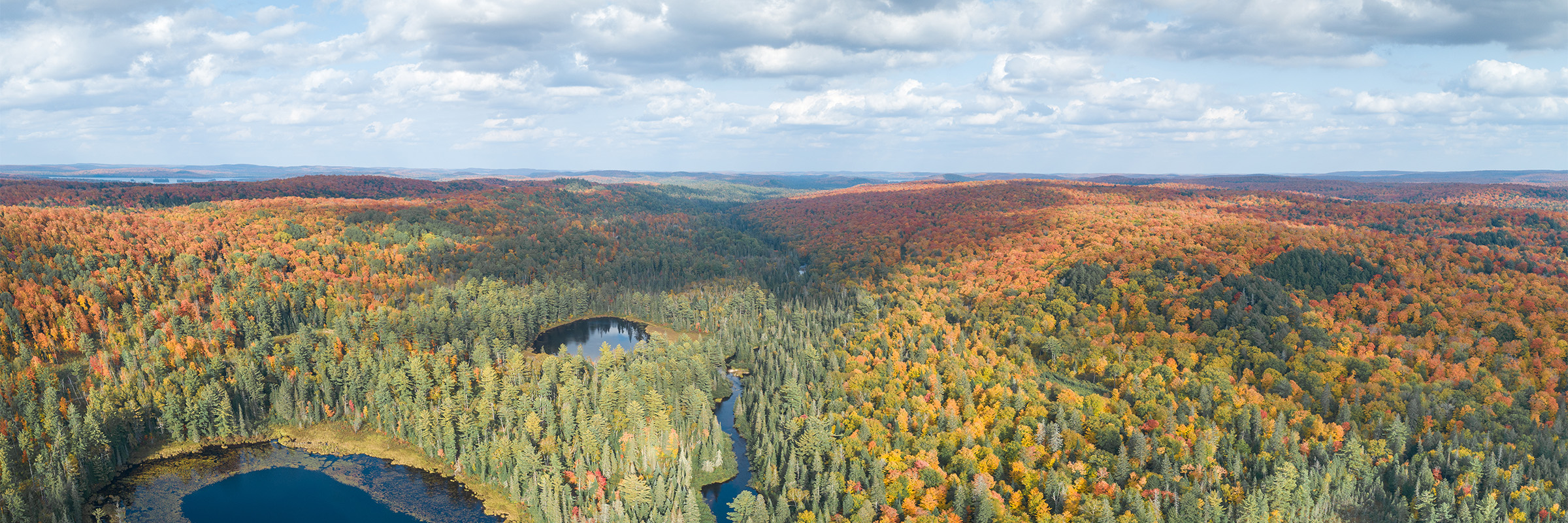 Northern Ontario lakes, leaves and fall colours