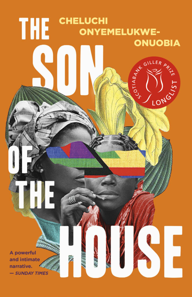 Cover of The Son of the House