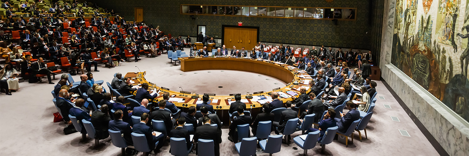 United Nation Security Council UN