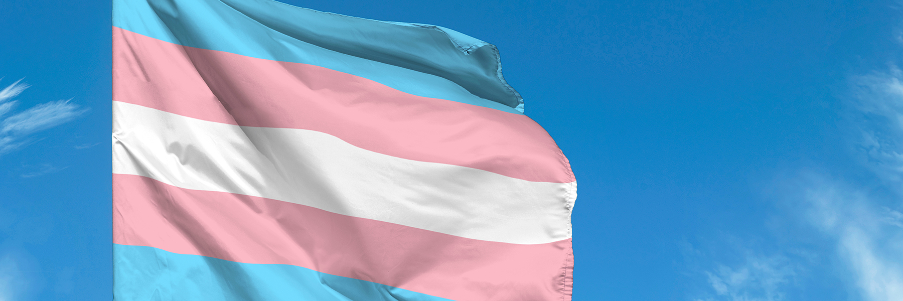 Transgender flag waving against blue sky,