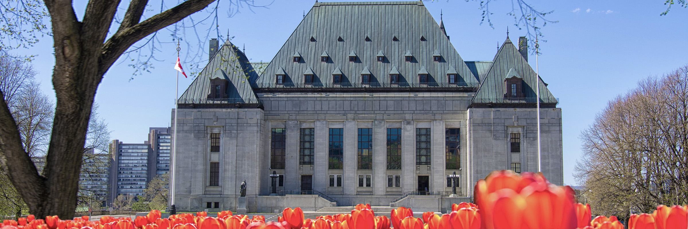 Supreme Court of Canada tulips