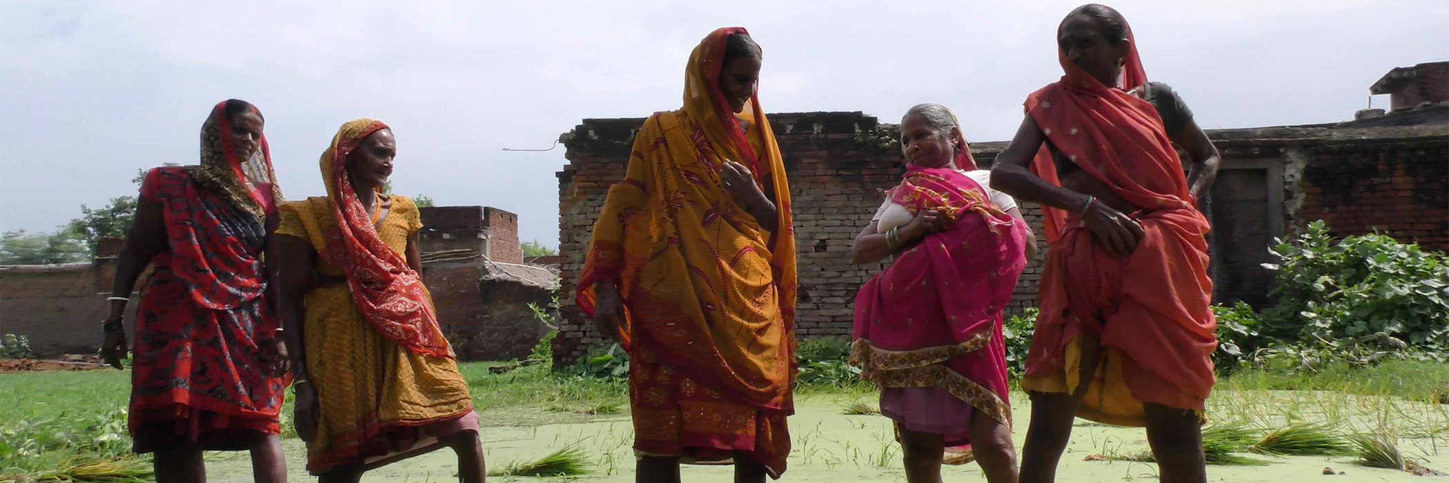 Badhuli village women standing in flooded rice field