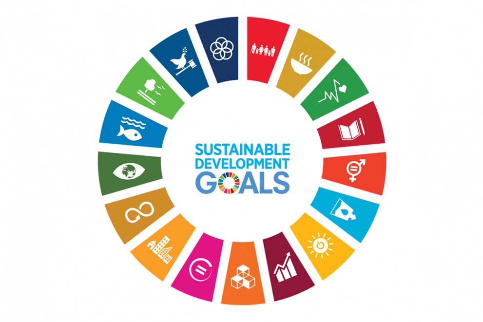 UN SDG wheel with the 17 SDGs