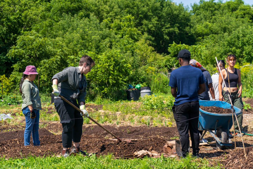A group of people gardening at Maloca Community Garden