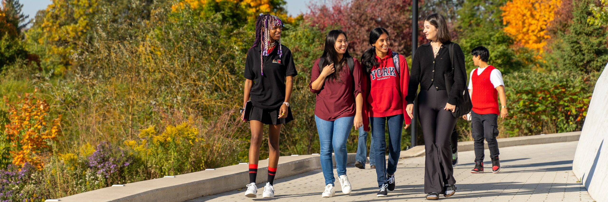 Four students walking on York University's Keele Campus in the fall
