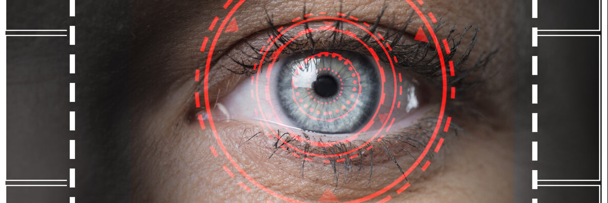 retina biometric scan