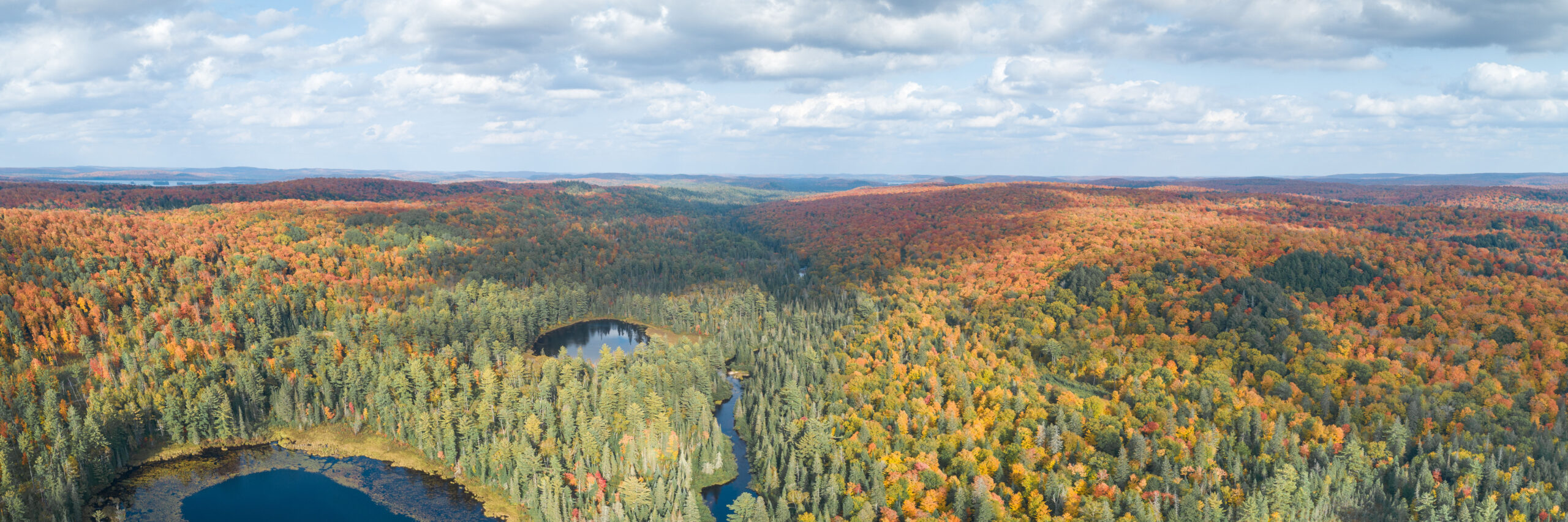 Aerial Of Colorful Autumn Rivers & Lakes Though Mountains In Northern Ontario Canada