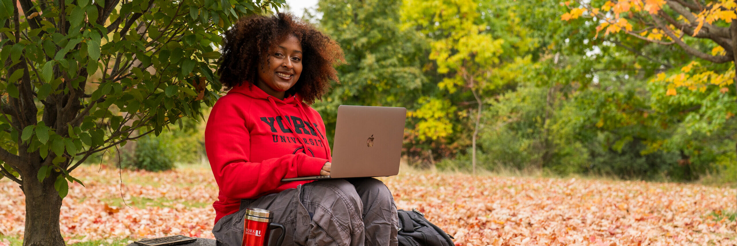 Black student arboretum York campus laptop study