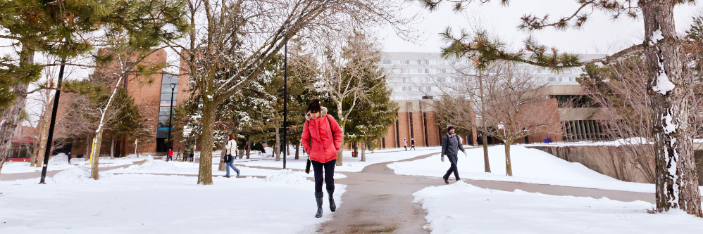 Keele Campus walkway in winter