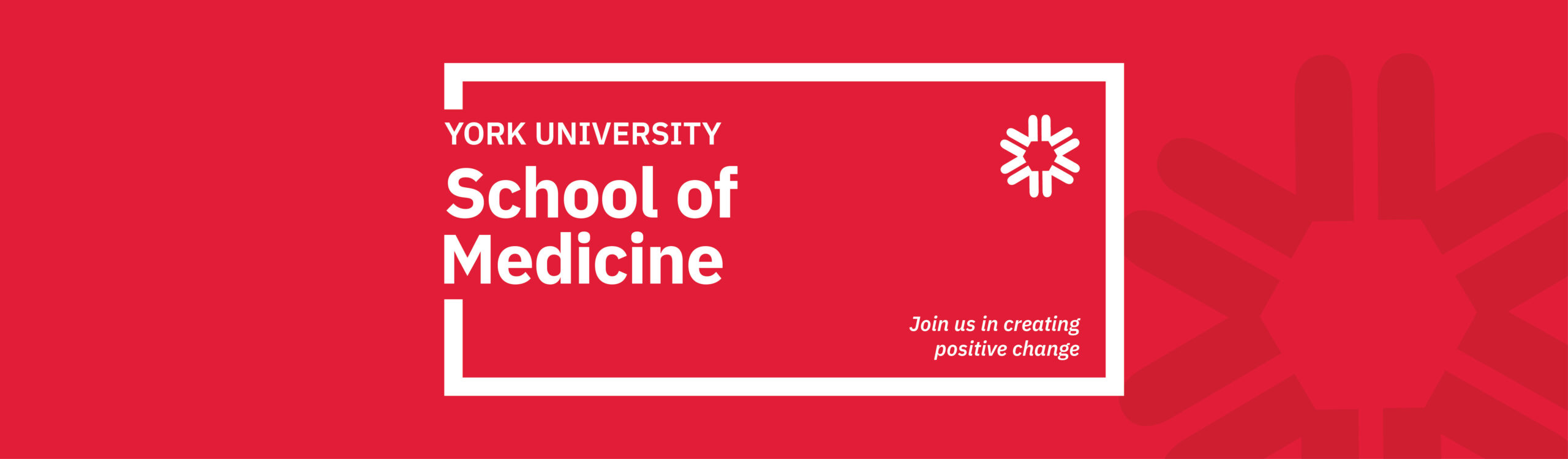 YU School of Medicine banner YFile