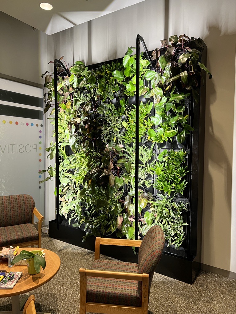 Living wall at the Student Counselling, Health & Well-being office