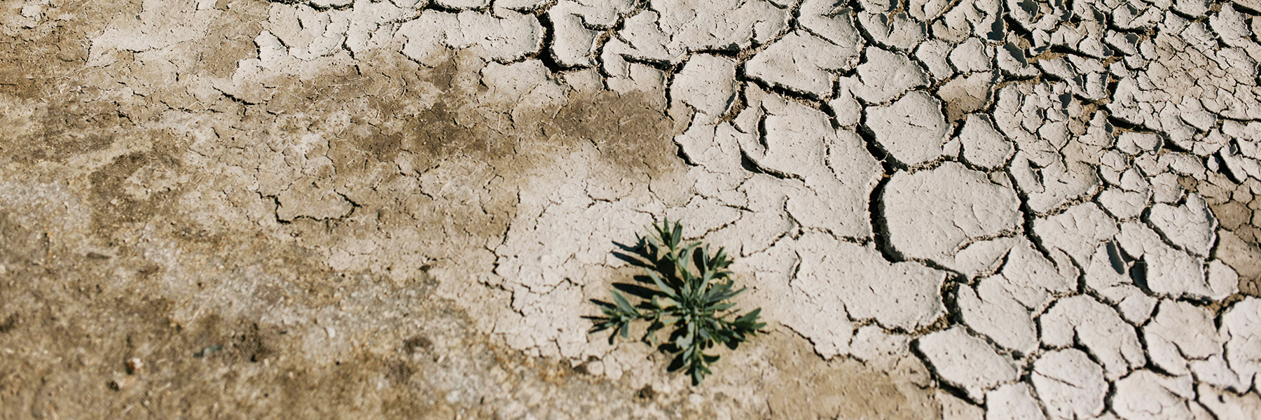 climate crisis dry desert BANNER